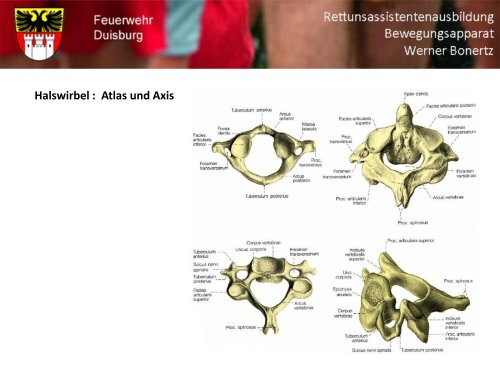 Bewegungsapparat - Bildung und Beratung für Gesundheits- u ...