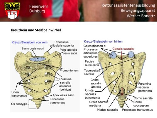 Bewegungsapparat - Bildung und Beratung für Gesundheits- u ...