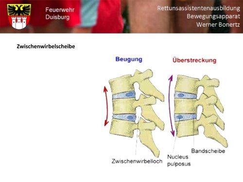 Bewegungsapparat - Bildung und Beratung für Gesundheits- u ...