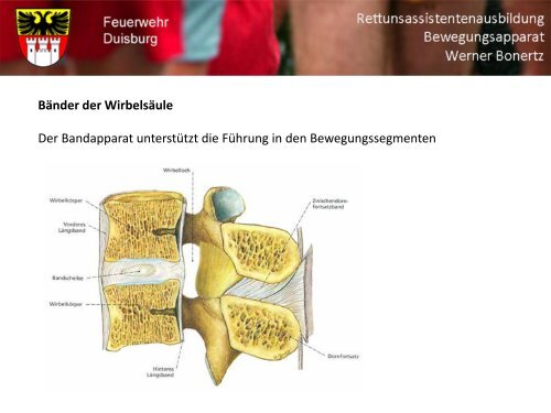 Bewegungsapparat - Bildung und Beratung für Gesundheits- u ...