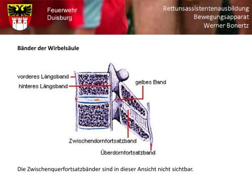 Bewegungsapparat - Bildung und Beratung für Gesundheits- u ...