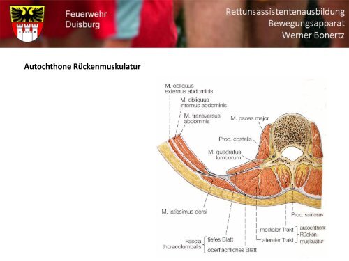 Bewegungsapparat - Bildung und Beratung für Gesundheits- u ...