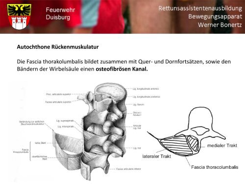 Bewegungsapparat - Bildung und Beratung für Gesundheits- u ...