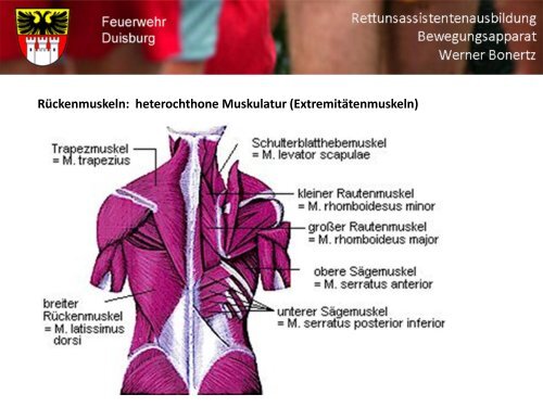 Bewegungsapparat - Bildung und Beratung für Gesundheits- u ...