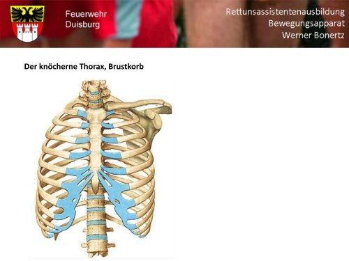 Bewegungsapparat - Bildung und Beratung für Gesundheits- u ...