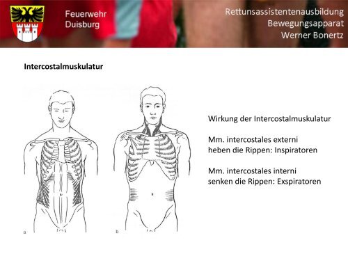 Bewegungsapparat - Bildung und Beratung für Gesundheits- u ...