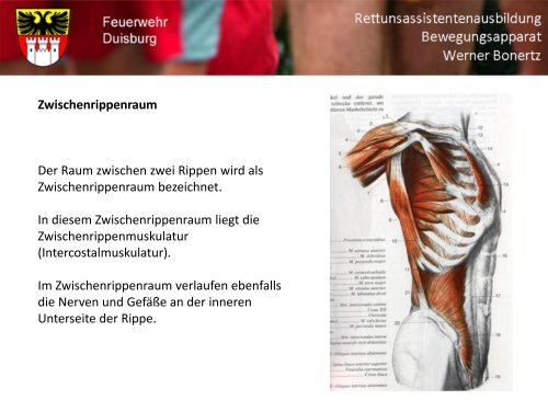 Bewegungsapparat - Bildung und Beratung für Gesundheits- u ...