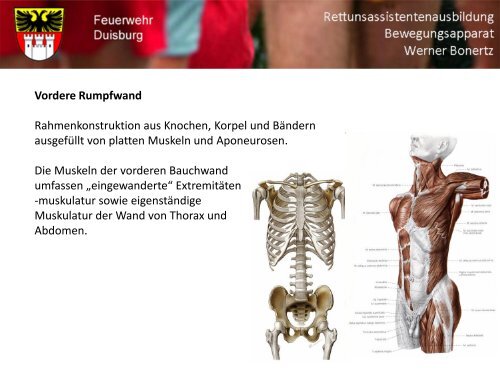 Bewegungsapparat - Bildung und Beratung für Gesundheits- u ...