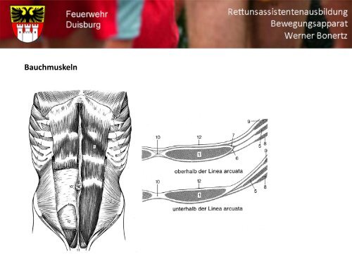 Bewegungsapparat - Bildung und Beratung für Gesundheits- u ...