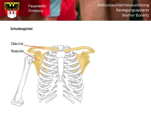 Bewegungsapparat - Bildung und Beratung für Gesundheits- u ...