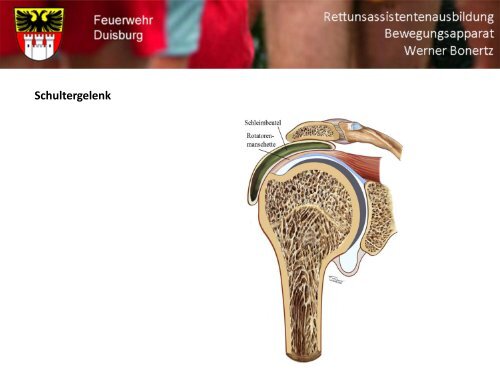 Bewegungsapparat - Bildung und Beratung für Gesundheits- u ...