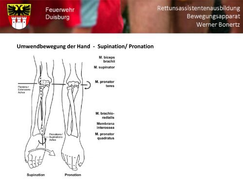 Bewegungsapparat - Bildung und Beratung für Gesundheits- u ...