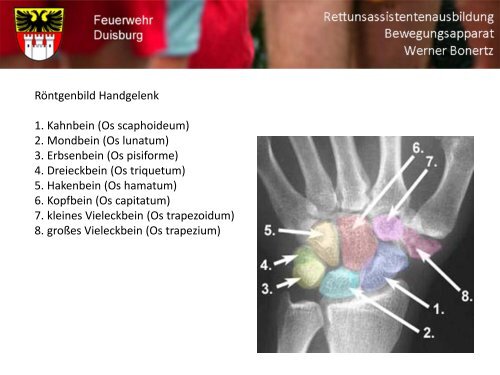 Bewegungsapparat - Bildung und Beratung für Gesundheits- u ...