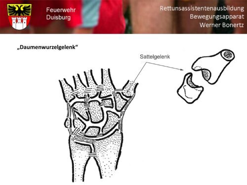 Bewegungsapparat - Bildung und Beratung für Gesundheits- u ...