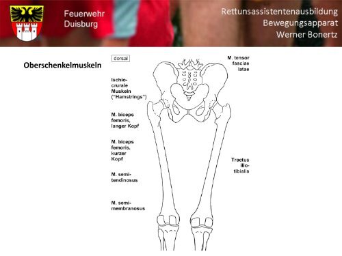 Bewegungsapparat - Bildung und Beratung für Gesundheits- u ...