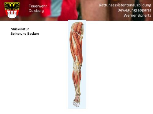 Bewegungsapparat - Bildung und Beratung für Gesundheits- u ...