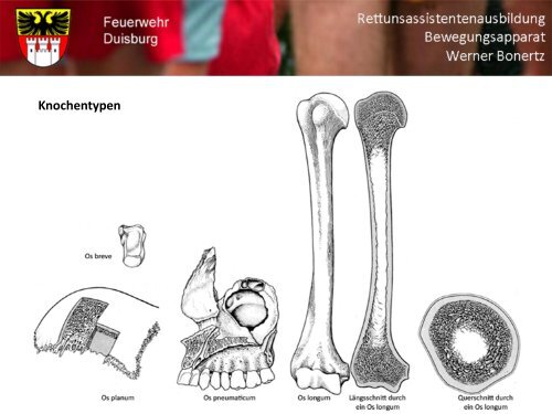 Bewegungsapparat - Bildung und Beratung für Gesundheits- u ...