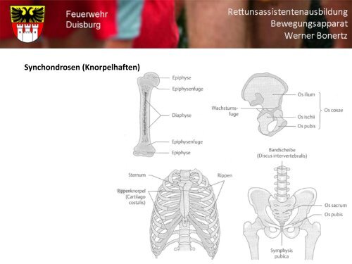 Bewegungsapparat - Bildung und Beratung für Gesundheits- u ...