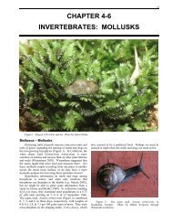 Chapter 4-6 Invertebrates Mollusks - Bryophyte Ecology