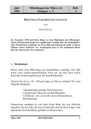 Der Ciliat Paramecium caudatum - Mikroag-stuttgart.de