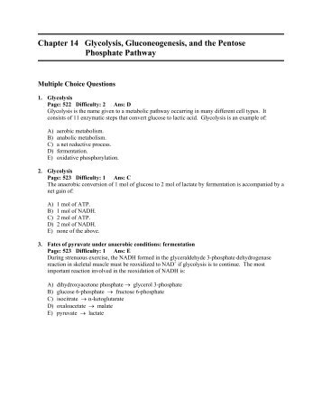 Chapter 14 Glycolysis, Gluconeogenesis, and the Pentose