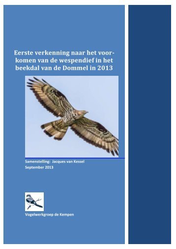 Rapport over de Wespendief in het Dommeldal 2013 - Vogels in de ...