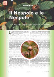 nespole.pdf