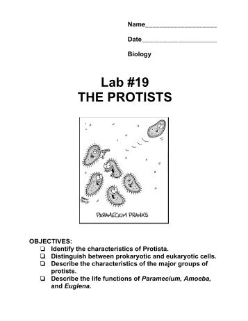 Lab #19: The Protists - Naturebydesignlearning.com