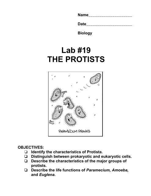 Lab #19: The Protists - Naturebydesignlearning.com