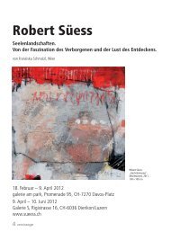 Download Portrait - Robert Süess