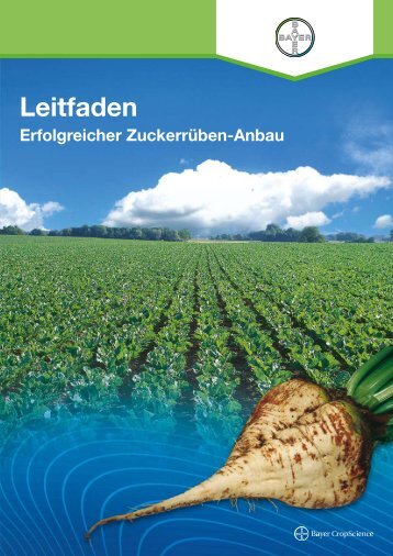 Leitfaden Erfolgreicher Zuckerrüben-Anbau (PDF ... - Rüben - Bayer