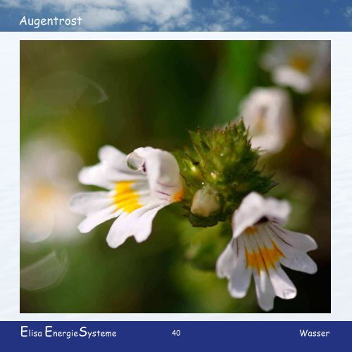 Download - Elisa EnergieSysteme