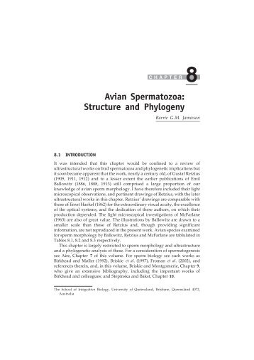 Avian Spermatozoa: Structure and Phylogeny - of BGM Jamieson