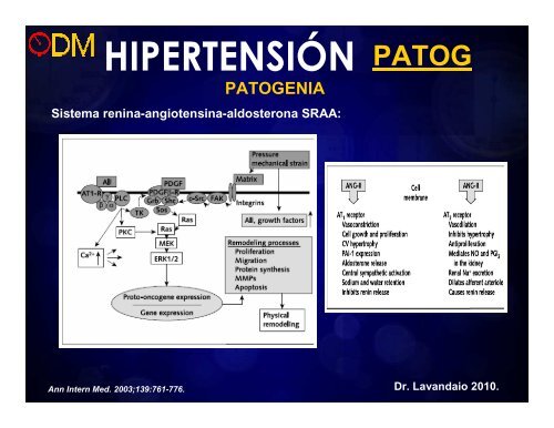 HTA_DM.pdf