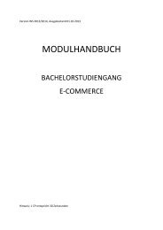 MODULHANDBUCH - Fakultät Informatik und Wirtschaftsinformatik