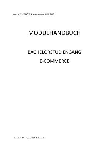 MODULHANDBUCH - Fakultät Informatik und Wirtschaftsinformatik