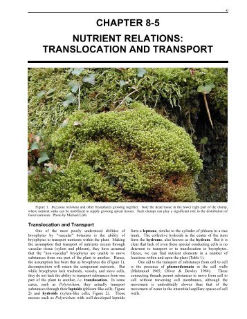 Chapter 8-5 Translocation and Transport - Bryophyte Ecology