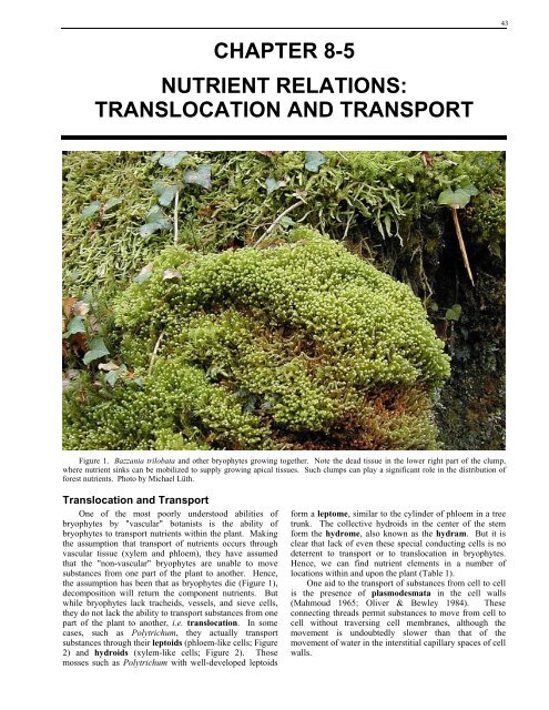 Chapter 8-5 Translocation and Transport - Bryophyte Ecology