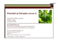 Potential of Jatropha curcas L. - IEA Bioenergy Task 40