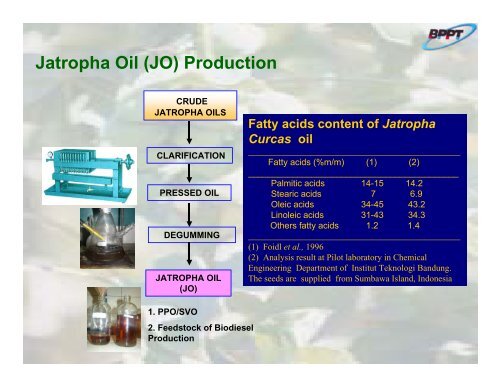 Potential of Jatropha curcas L. - IEA Bioenergy Task 40