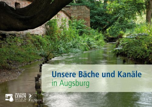 Unsere Bäche und Kanäle in Augsburg - WasSerLeben - Natur in ...