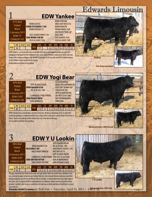 Prairie Gold Limousin Bull Sale • Saturday, April 14, 2012 • 1:00 PM ...