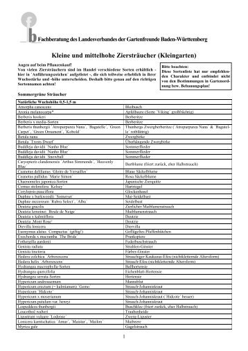 empfehlenswerte klein und mittelhoch wachsende Ziersträucher