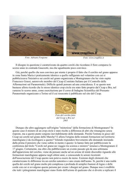 analisi sui cerchi nel grano marchigiani 2006 - Ufologiamarche ...