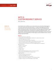 WITS 3: CUSTOM REDIRECT SERVICE - Verizon