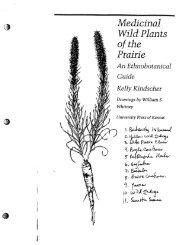 e Medicinal Wild Plants of the Prairie