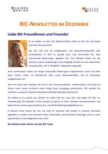 BIC Newsletter Dezember 2010