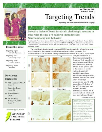 Targeting Trends
