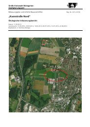 Ökologischer Erläuterungsbericht - Stadt Weingarten