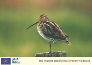 Das Vogelschutzgebiet Düsterdieker Niederung - Biologische ...